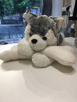 Dog Husky Siberiano Jacob